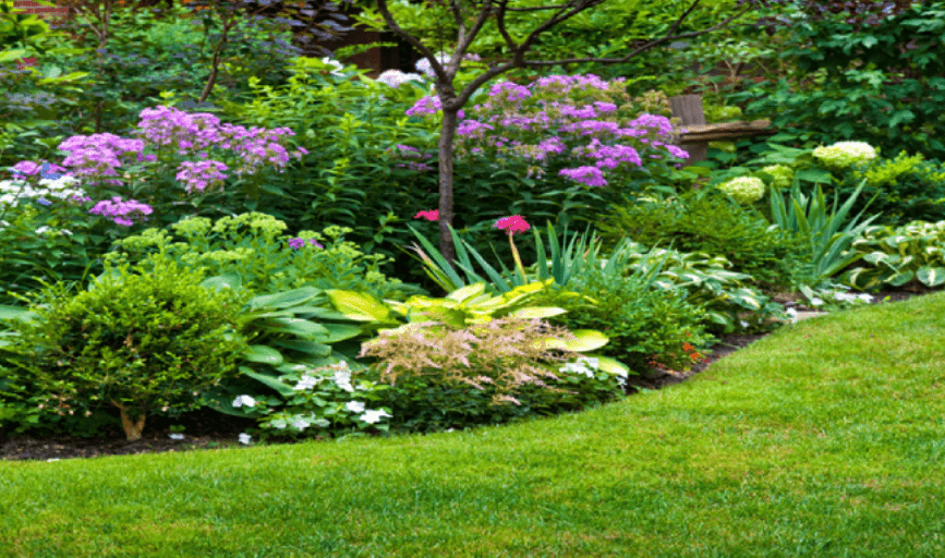 LawnTech Landscaping