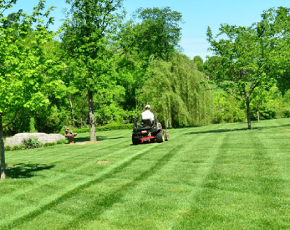 LAWN MAINTENANCE