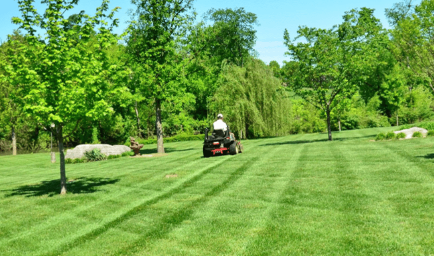 LawnTech Landscaping