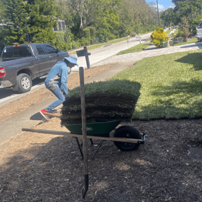 SOD INSTALLATION SERVICES