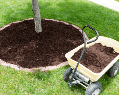TREE MULCHING