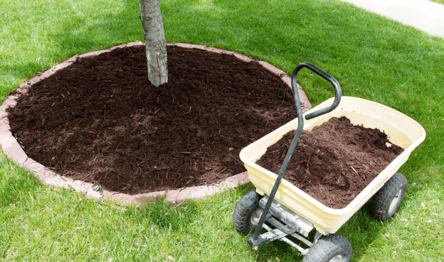 H&H Land Clearing & Excavation