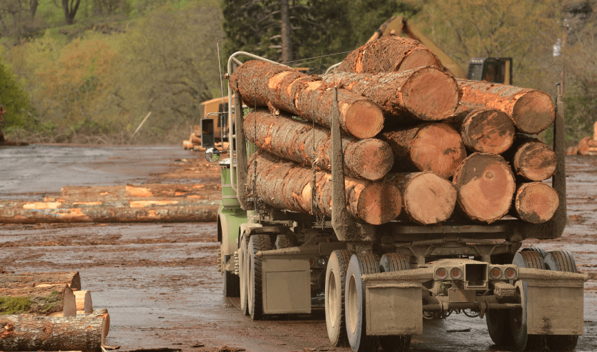 D & A Hauling Services