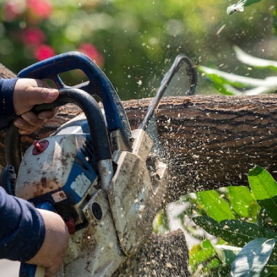 COMMERCIAL TREE SERVICES