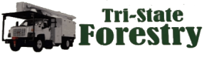 Tri-State Forestry