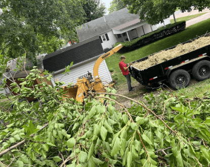 RESIDENTIAL TREE SERVICES