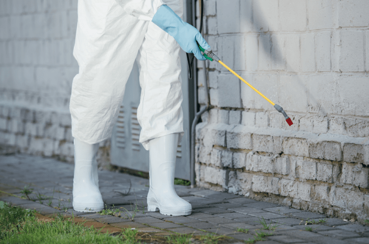 Pangolin Pest Control