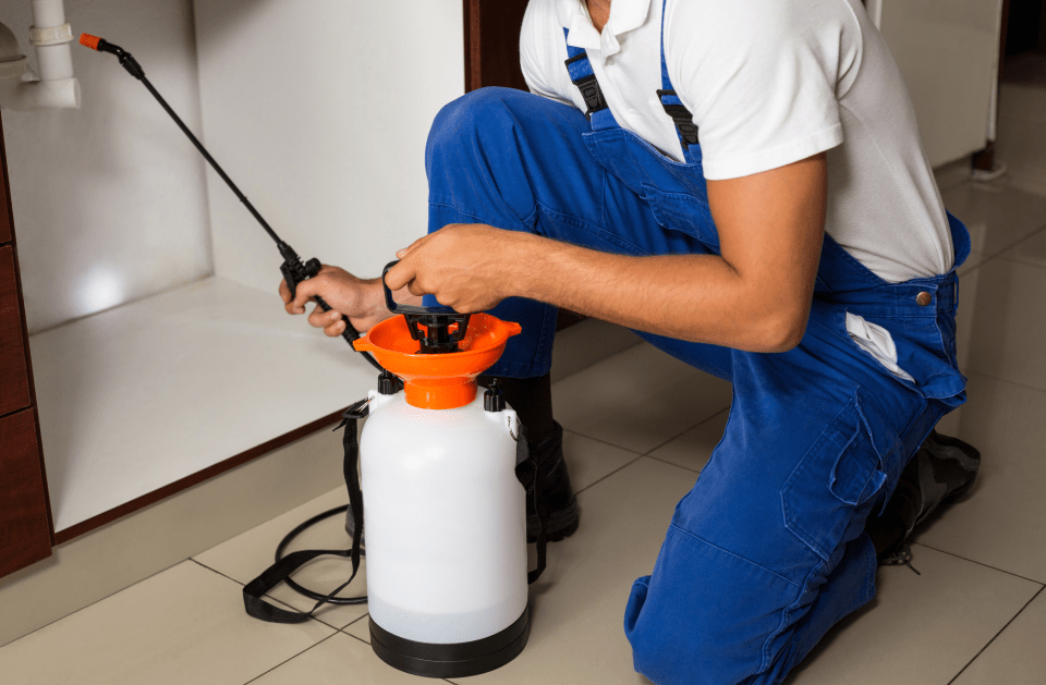 Pangolin Pest Control