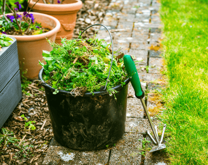 WEED REMOVAL SERVICE