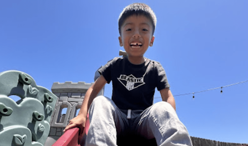 Dragonfly Play House