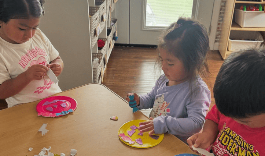 Dragonfly Play House