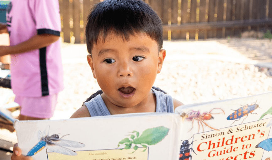 Dragonfly Play House