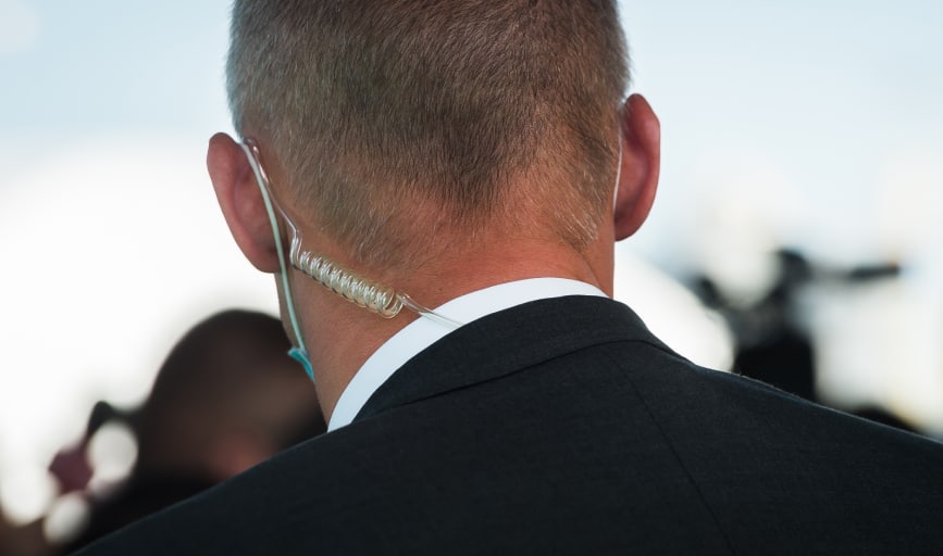 Pedro's Security Service