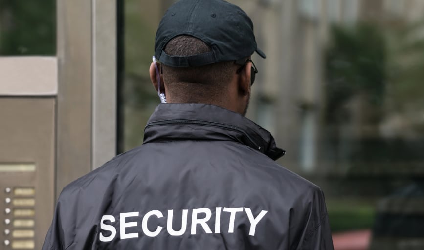 Pedro's Security Service