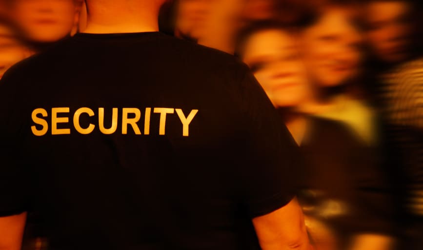 Pedro's Security Service