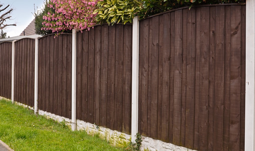 Texas Specialized Services