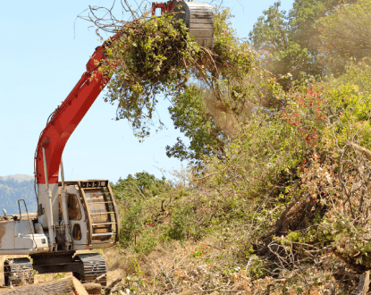 LAND CLEARING