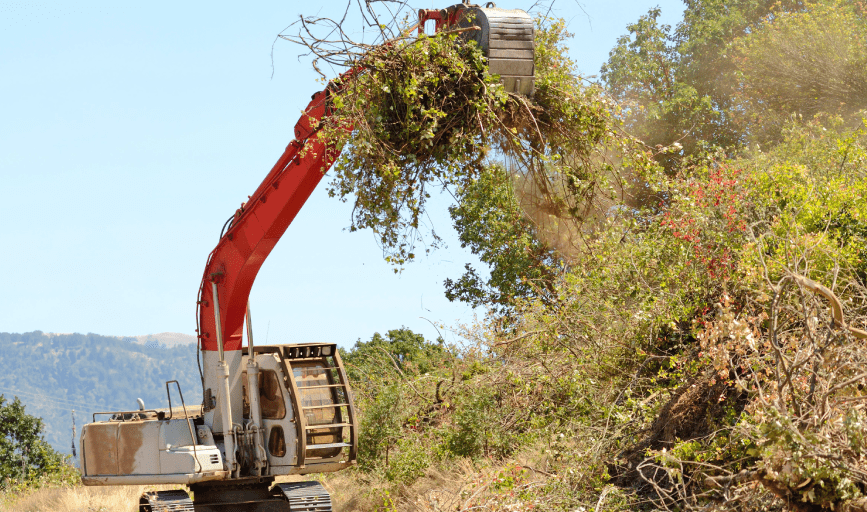 Thompson Landscaping Design and Lawn