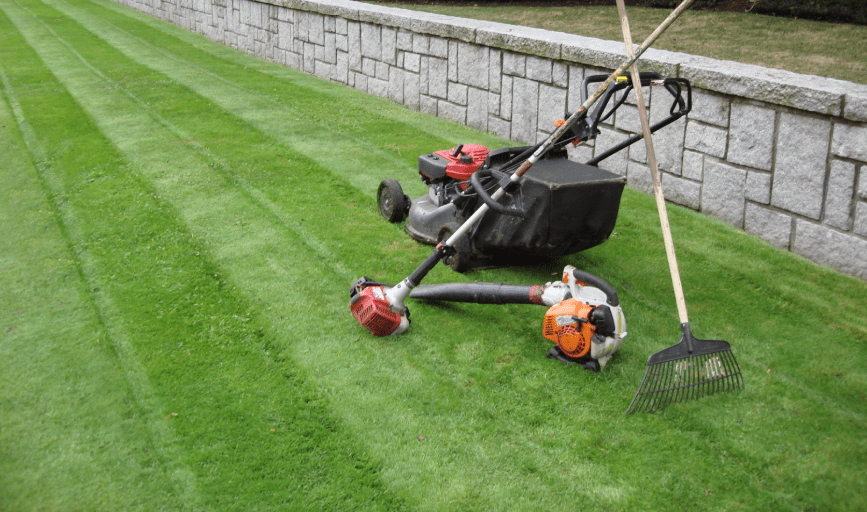 Wilmar A Gonzalez Landscaping