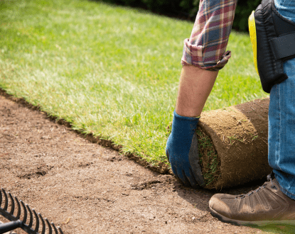 GRASS INSTALLATION SERVICES