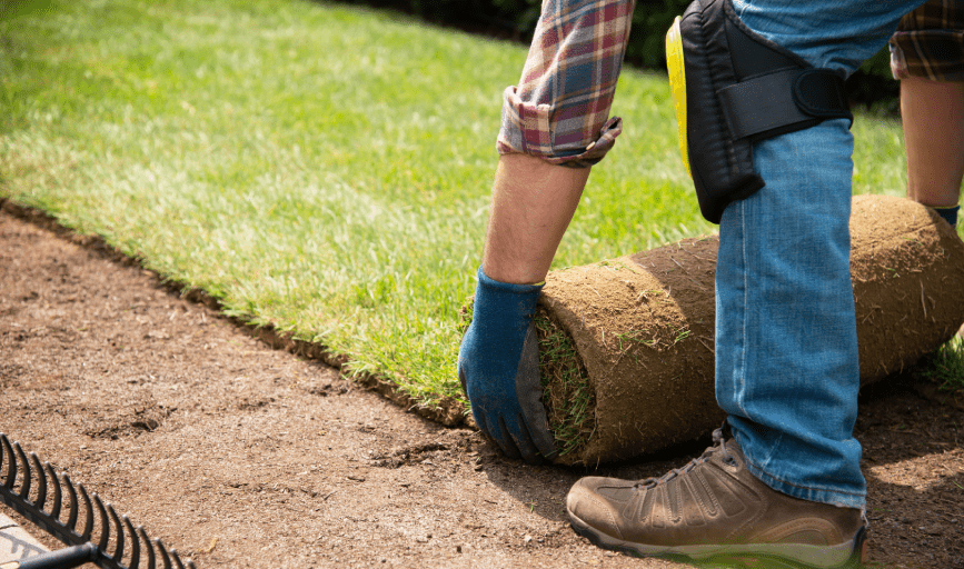 Wilmar A Gonzalez Landscaping