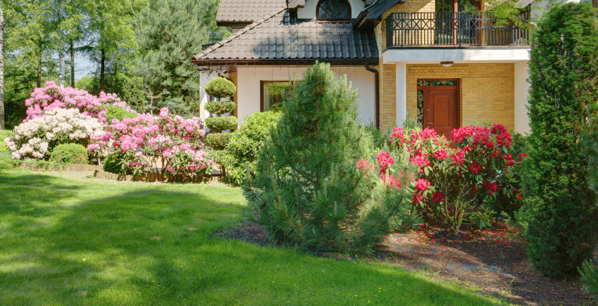 Galo Handyman Construction