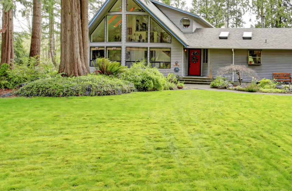 Maggard & Bullard Services