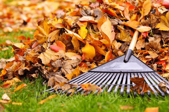 Damian's Landscaping