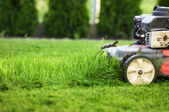 Damian's Landscaping