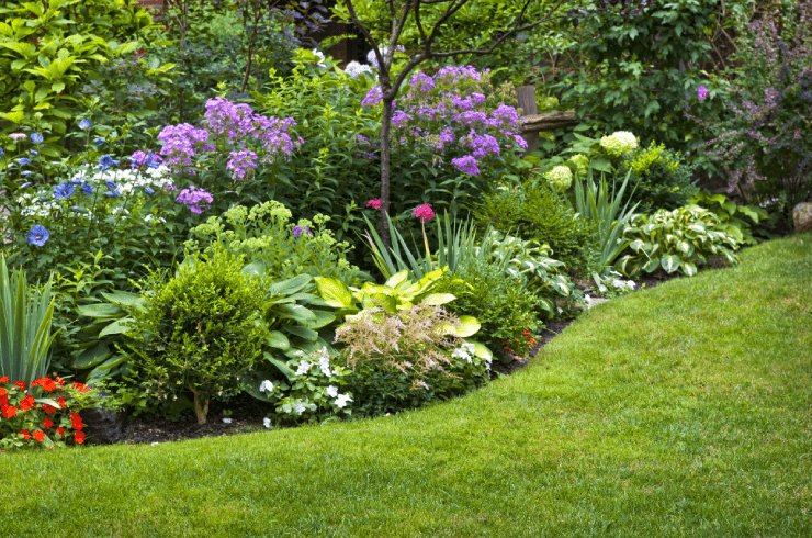 Velazquez Mowing Services