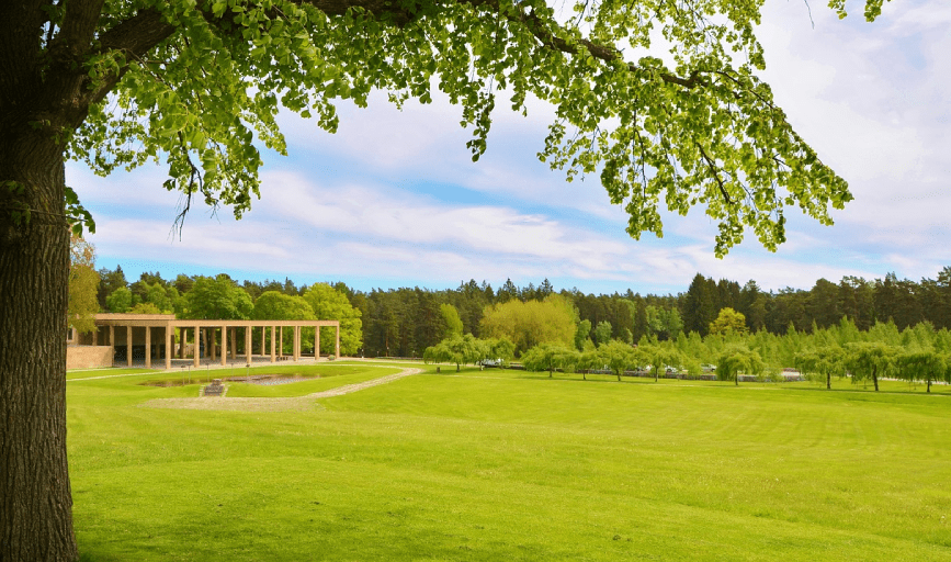 Velazquez Mowing Services