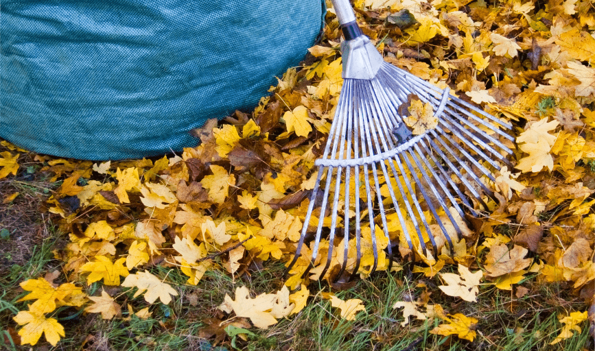 Velazquez Mowing Services