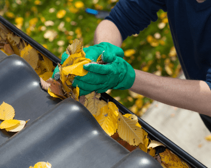 GUTTER CLEANING SERVICES