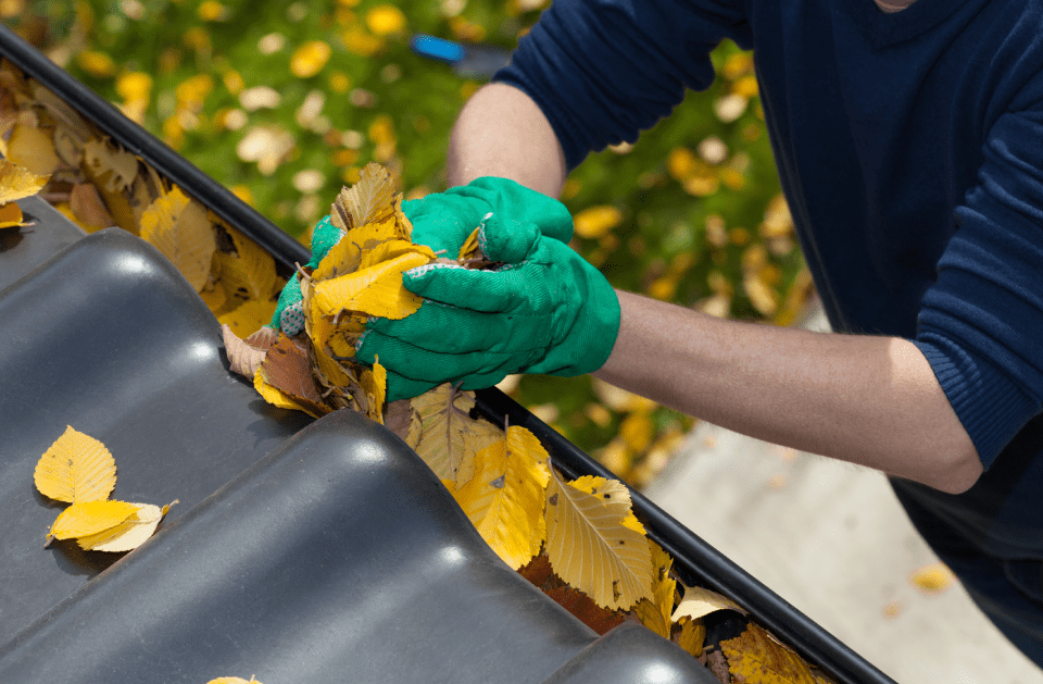 Carpio's Drywall Handy