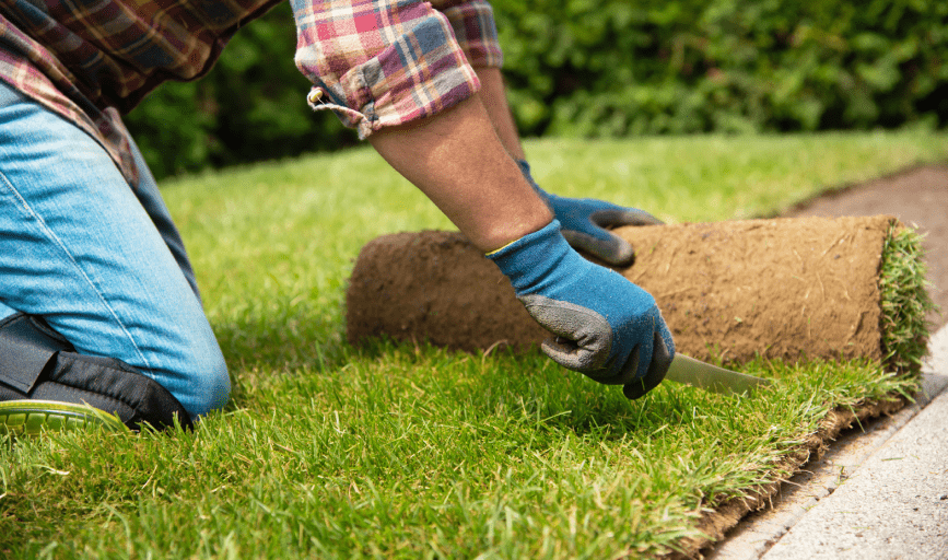 Arbor View Landscape Services