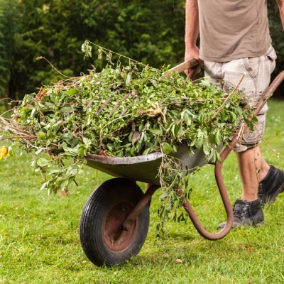GREEN WASTE DISPOSAL