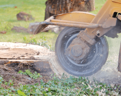 STUMP REMOVAL