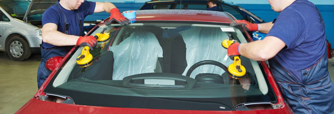 New Vision Auto Glass Plus Tint