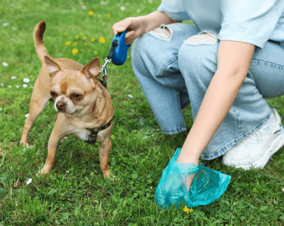 YARD CLEANING SERVICES