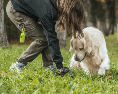 COMMERCIAL CANINE WASTE SERVICES