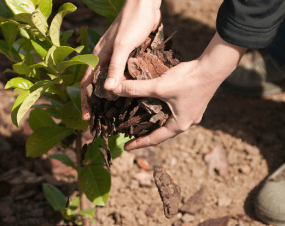 MULCH BED INSTALLATION
