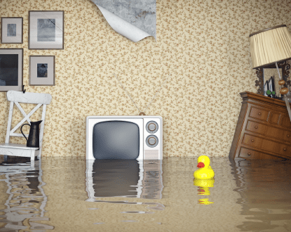 WATER DAMAGE RESTORATION