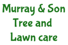 Murray & Son Tree and Lawn care