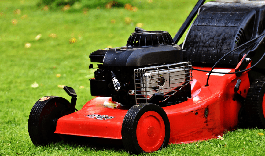 Murray & Son Tree and Lawn care