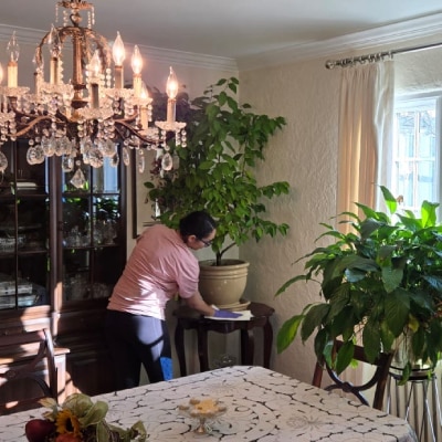 RESIDENTIAL CLEANING SERVICES