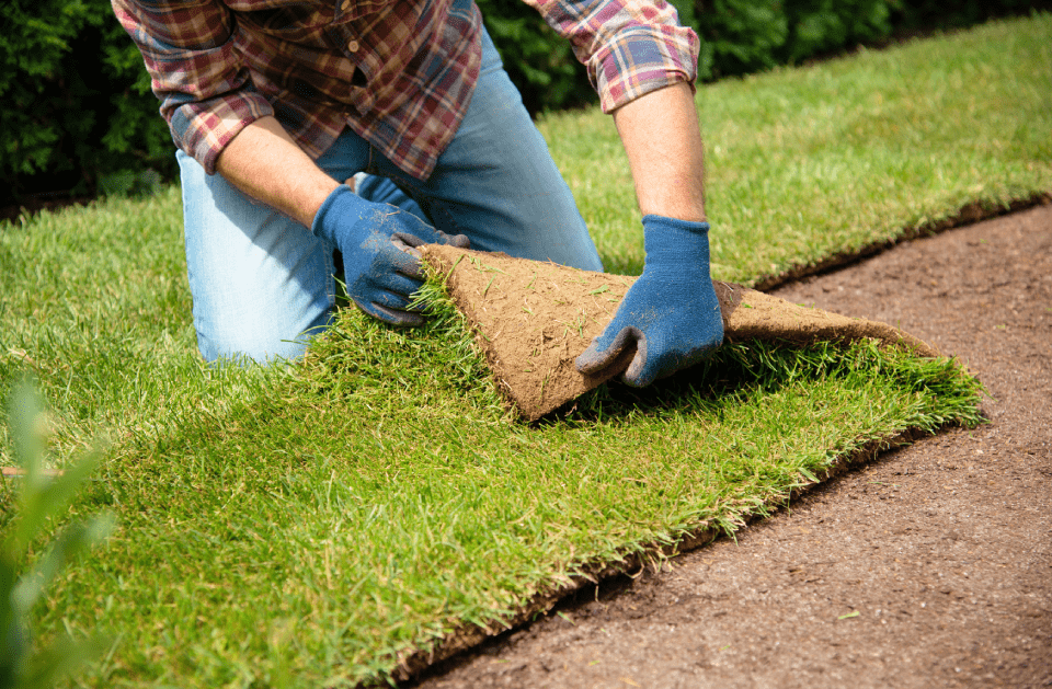 Scotts Land Management