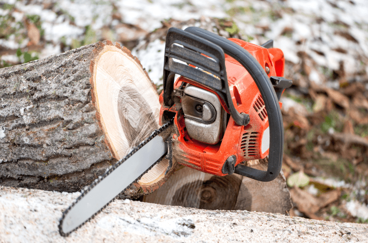 1/2 Price Tree Service