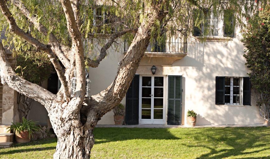 1/2 Price Tree Service