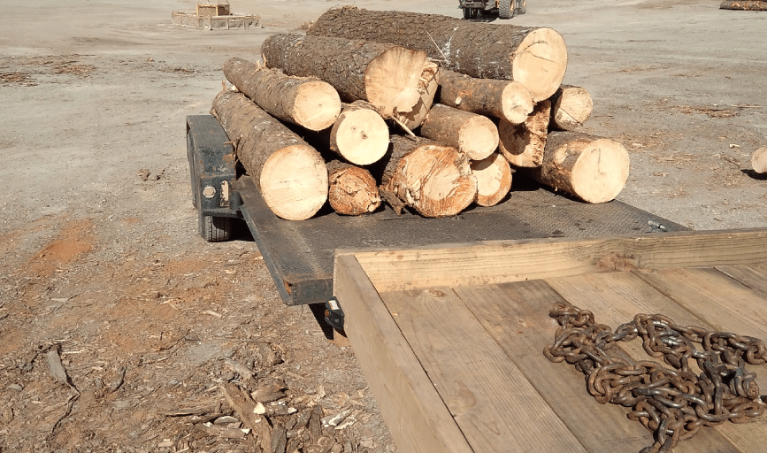 1/2 Price Tree Service