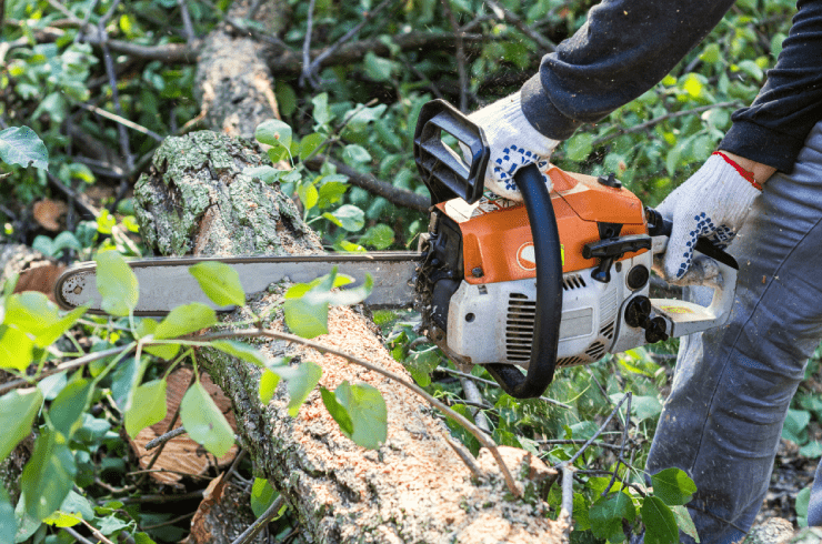 Yovani Perez Landscape & Tree Service